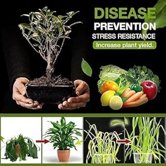 Plantaura Soil Activator – Rapid Growth Booster 100 Gram-Pack of 2