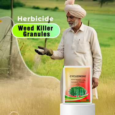 Cyclosinone Herbicide Granules and growth supplements (😍BUY 1 GET 1 FREE😍)