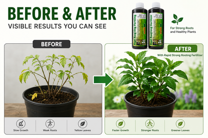Rapid Strong Rooting Fertilizer pack of 2