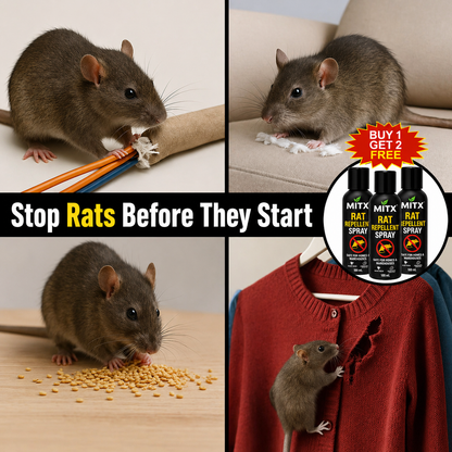 Gharsense™ Rat Repellent Spray | BUY 1 GET 2 FREE
