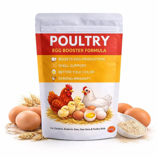 Poultry Egg Booster Feed Supplement
