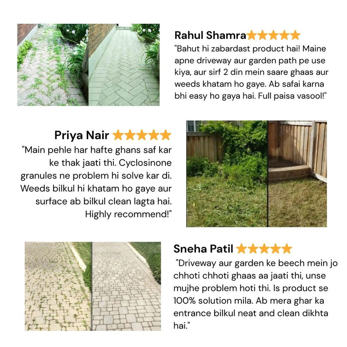 Cyclosinone Herbicide Granules and growth supplements (😍BUY 1 GET 1 FREE😍)