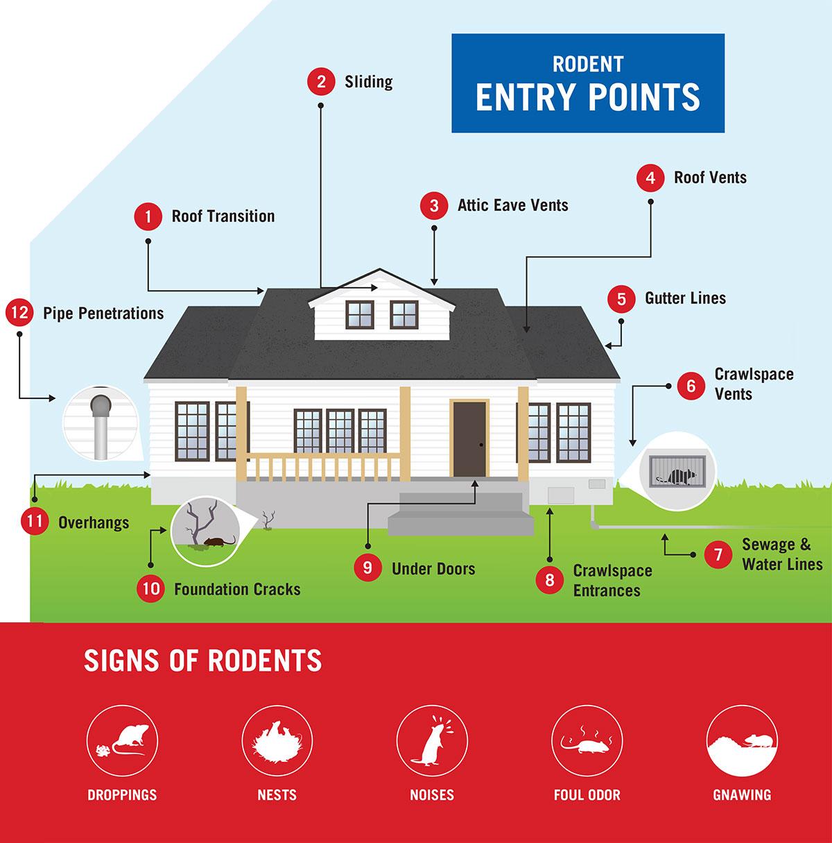 Gharsense™ Rat Repellent Spray | BUY 1 GET 2 FREE