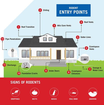 Gharsense™ Rat Repellent Spray | BUY 1 GET 2 FREE