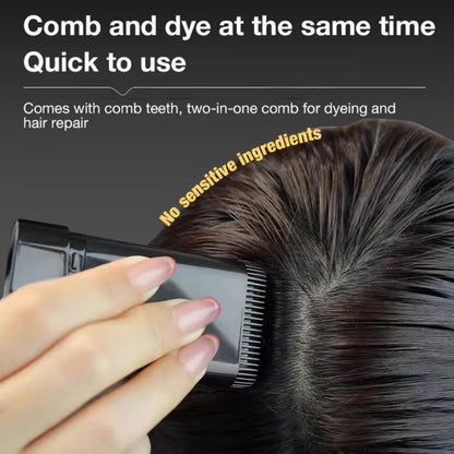 HairRevive 2-in-1 Color Stick Comb – Instant Grey Coverage, Black (20g)