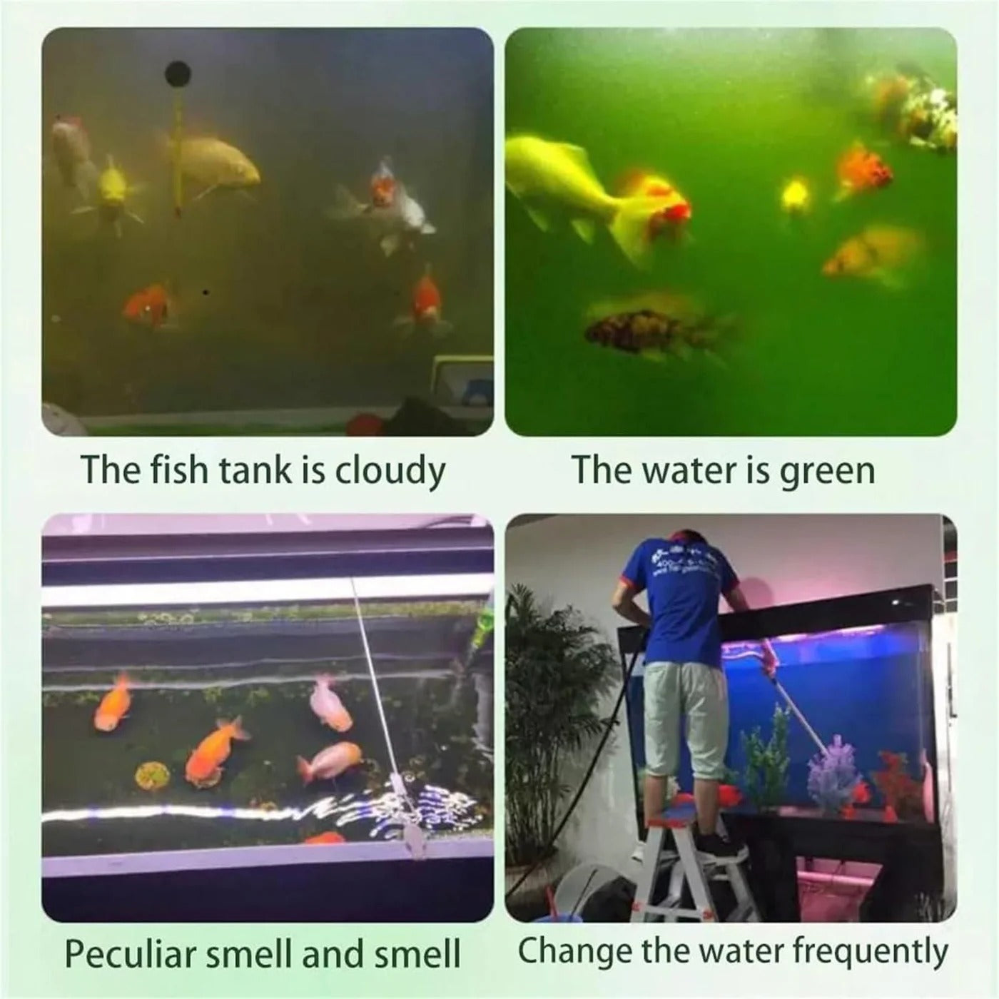WATER PURIFICATION TABLETS FOR FISH TANK ( Pack of -1)